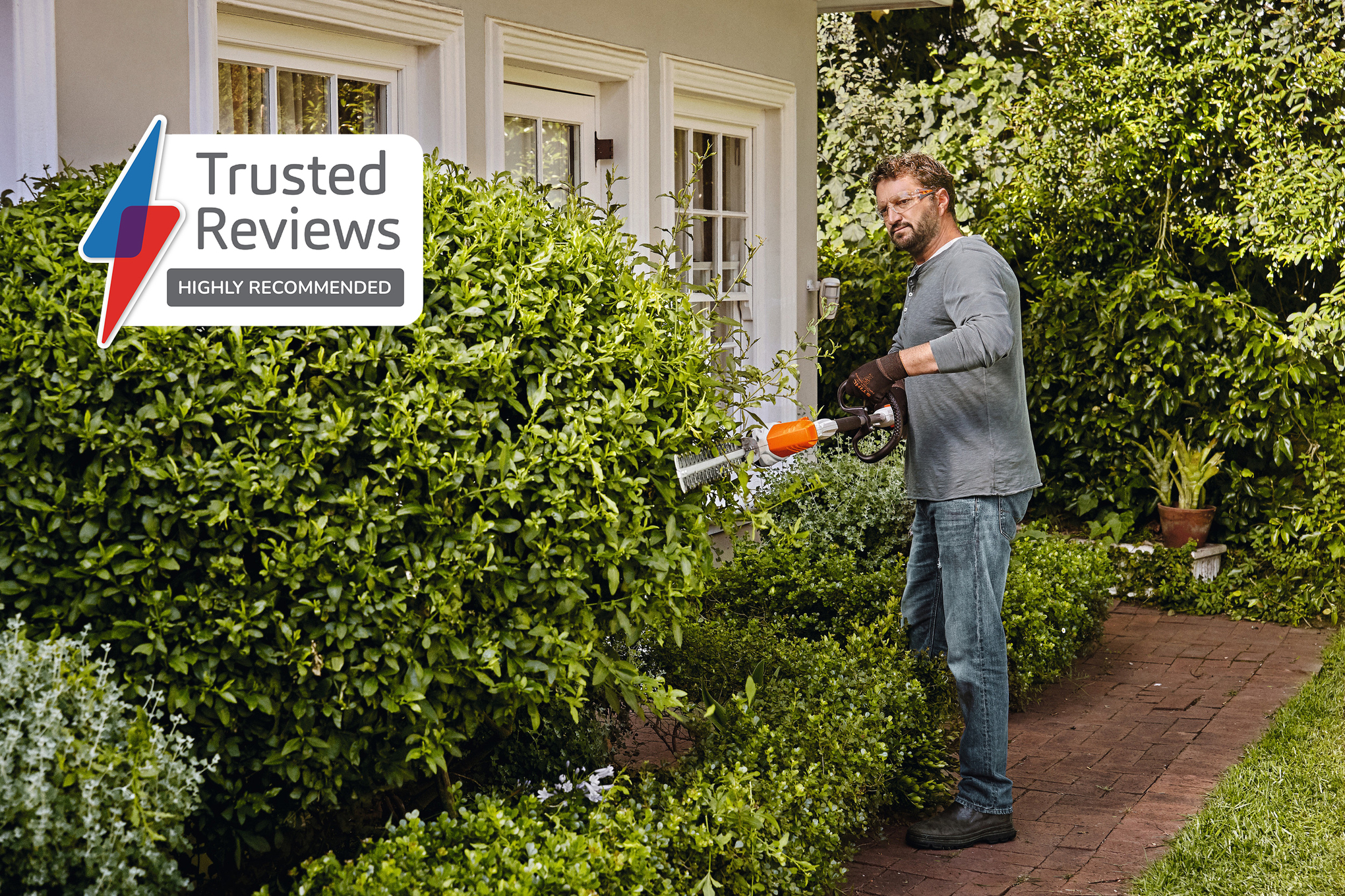 HLA 56 Cordless Long-reach Hedge Trimmer tool only