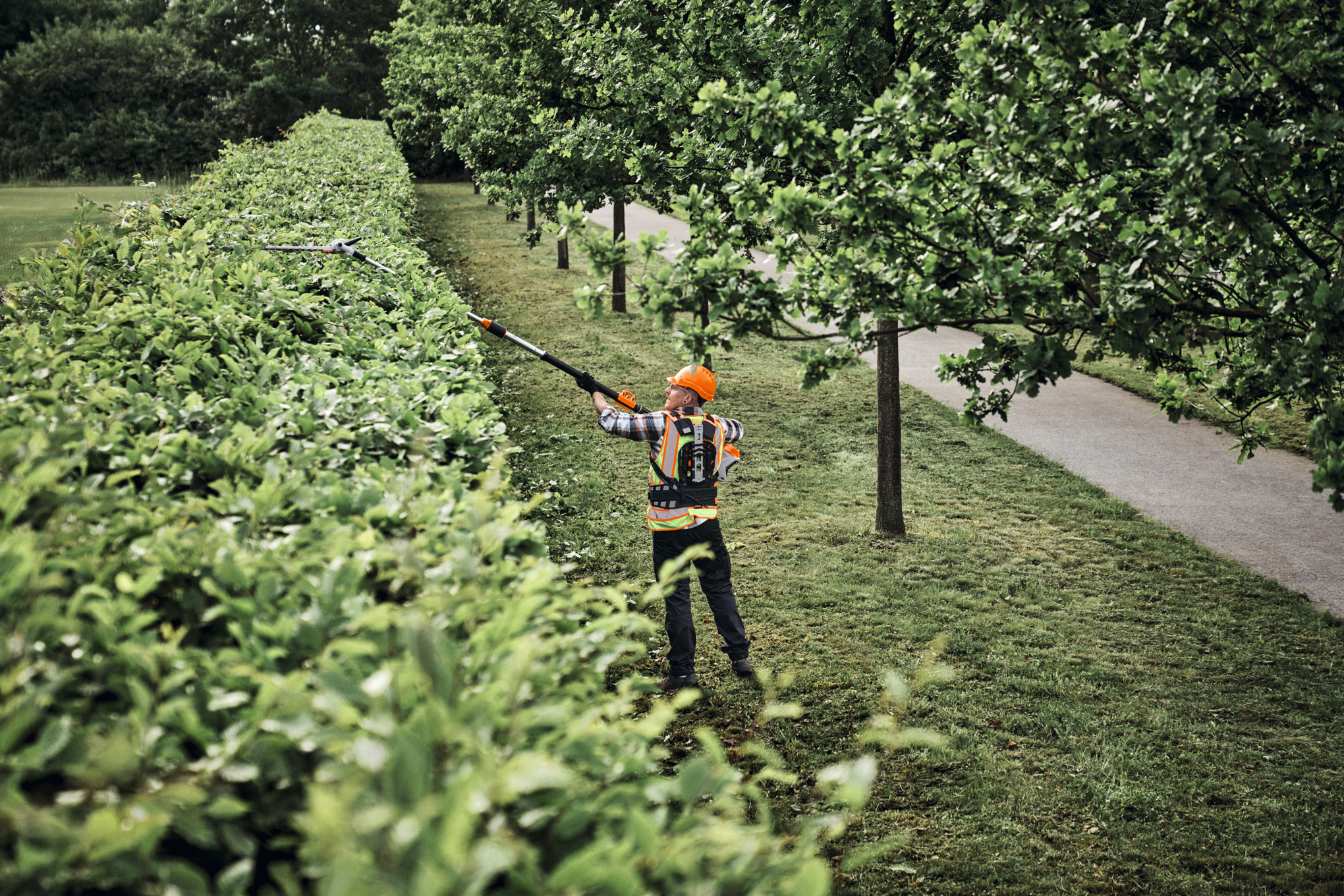 HLA 150 B Cordless Long-reach Hedge Trimmer tool only