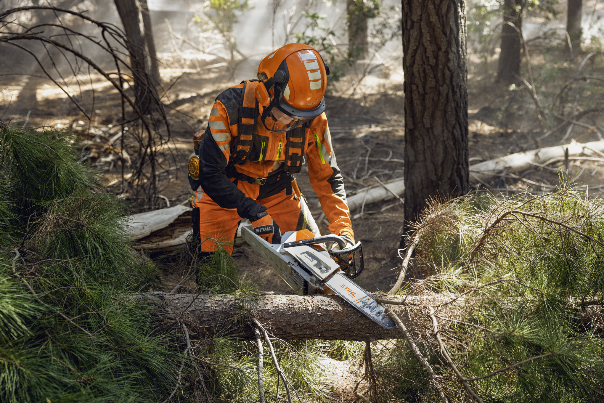 MSA 260 C-O Cordless Chainsaw tool only