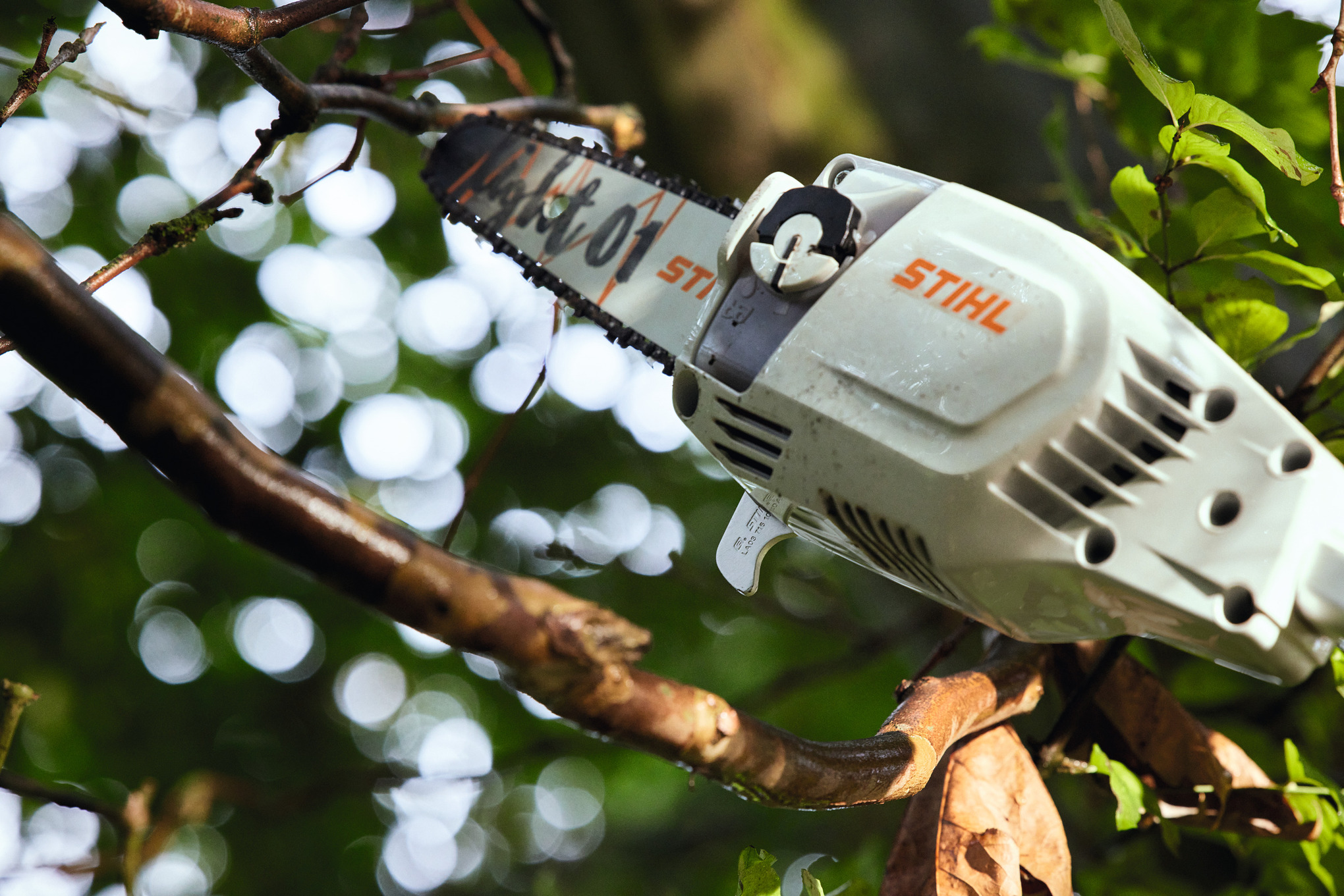 HTA 86 Cordless Telescopic Pole Pruner tool only