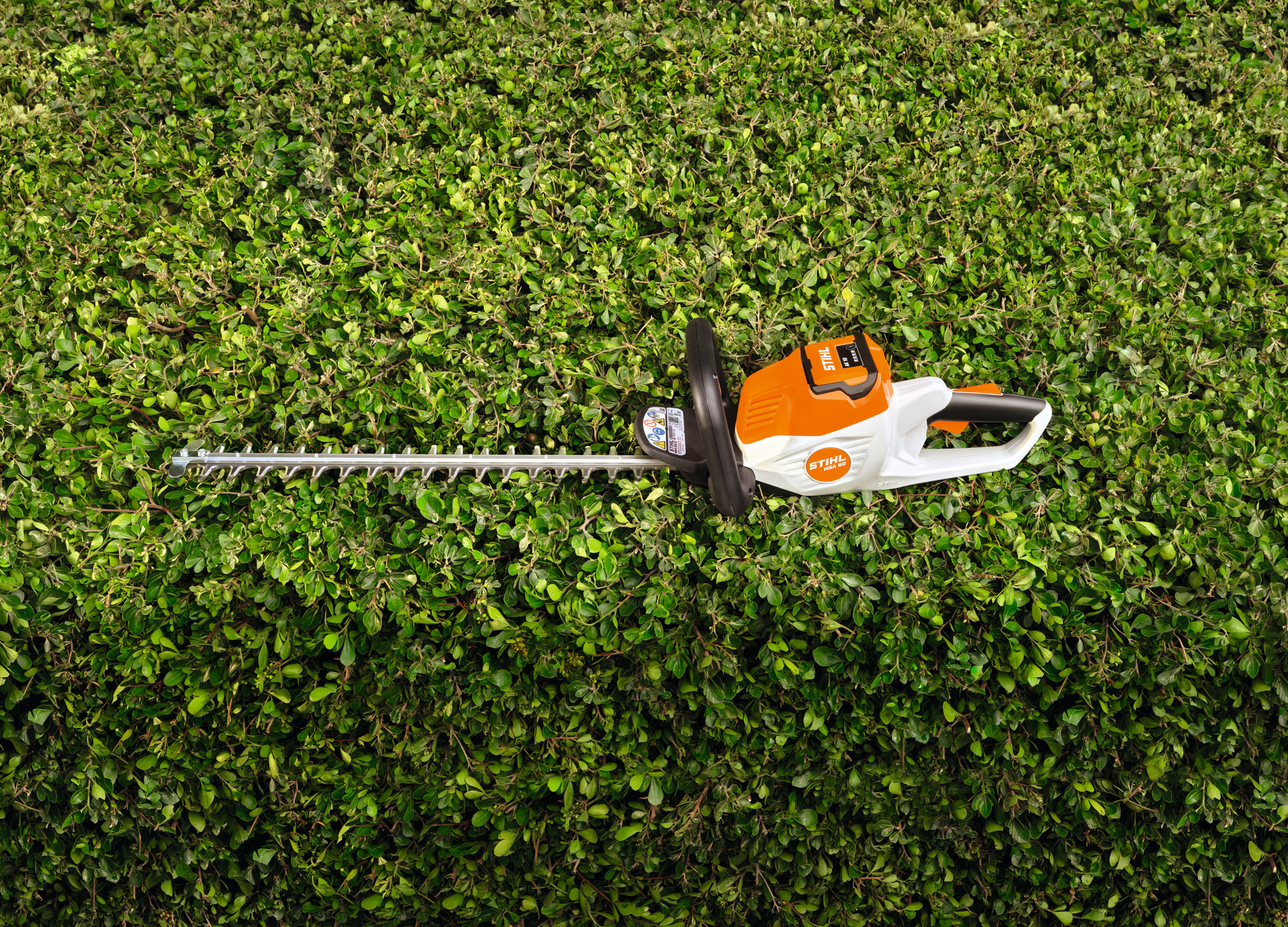HSA 50 Cordless Hedge Trimmer tool only