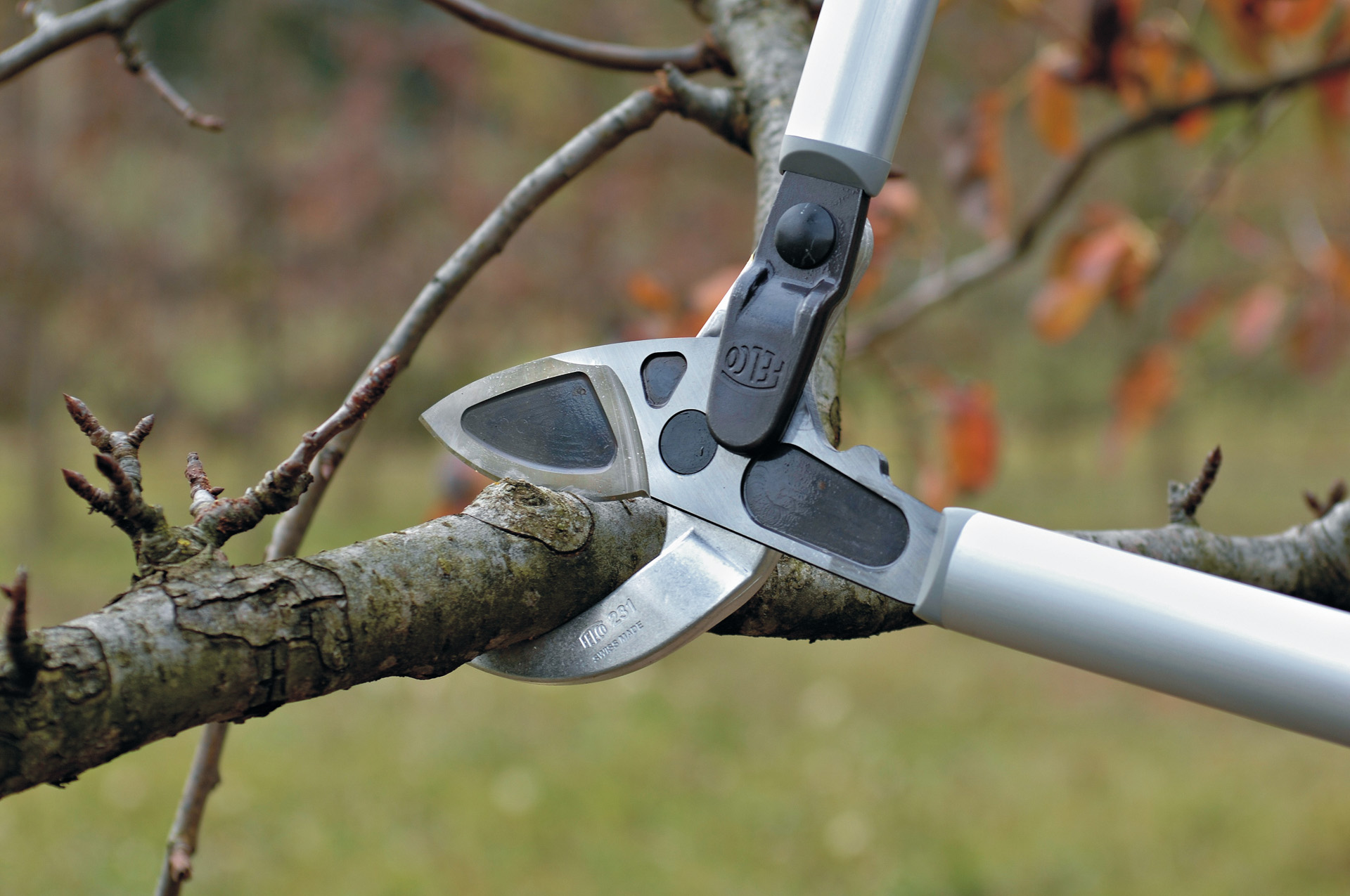 Pruning shears cutting through a branch