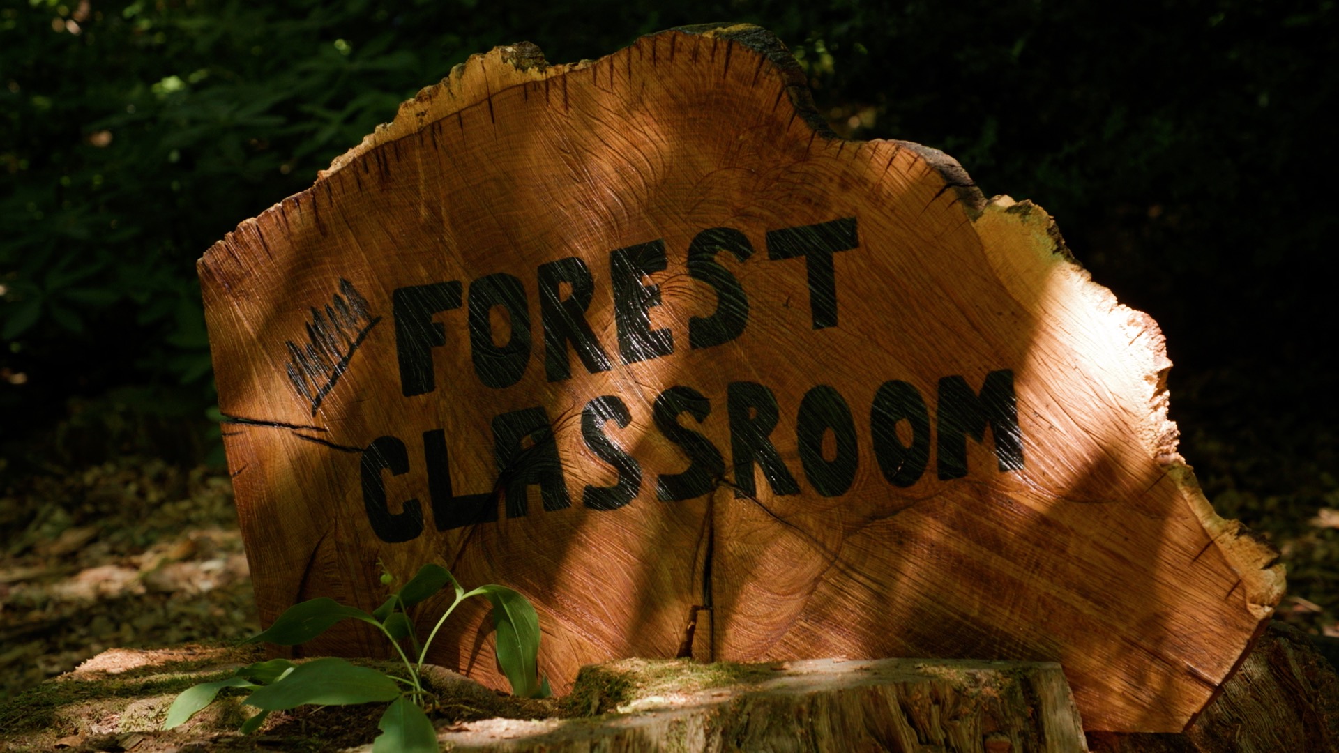 Forest classroom sign