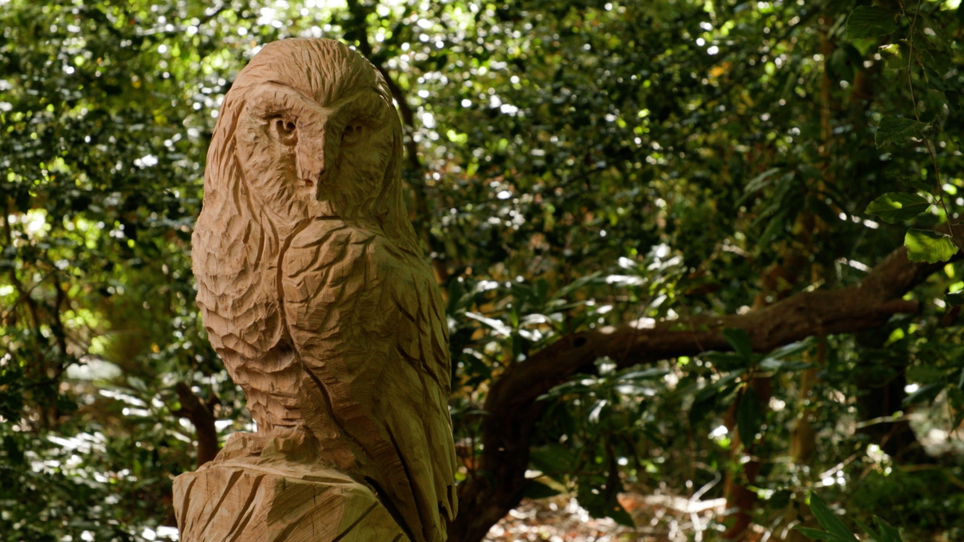 wooden chainsaw carving of an owl