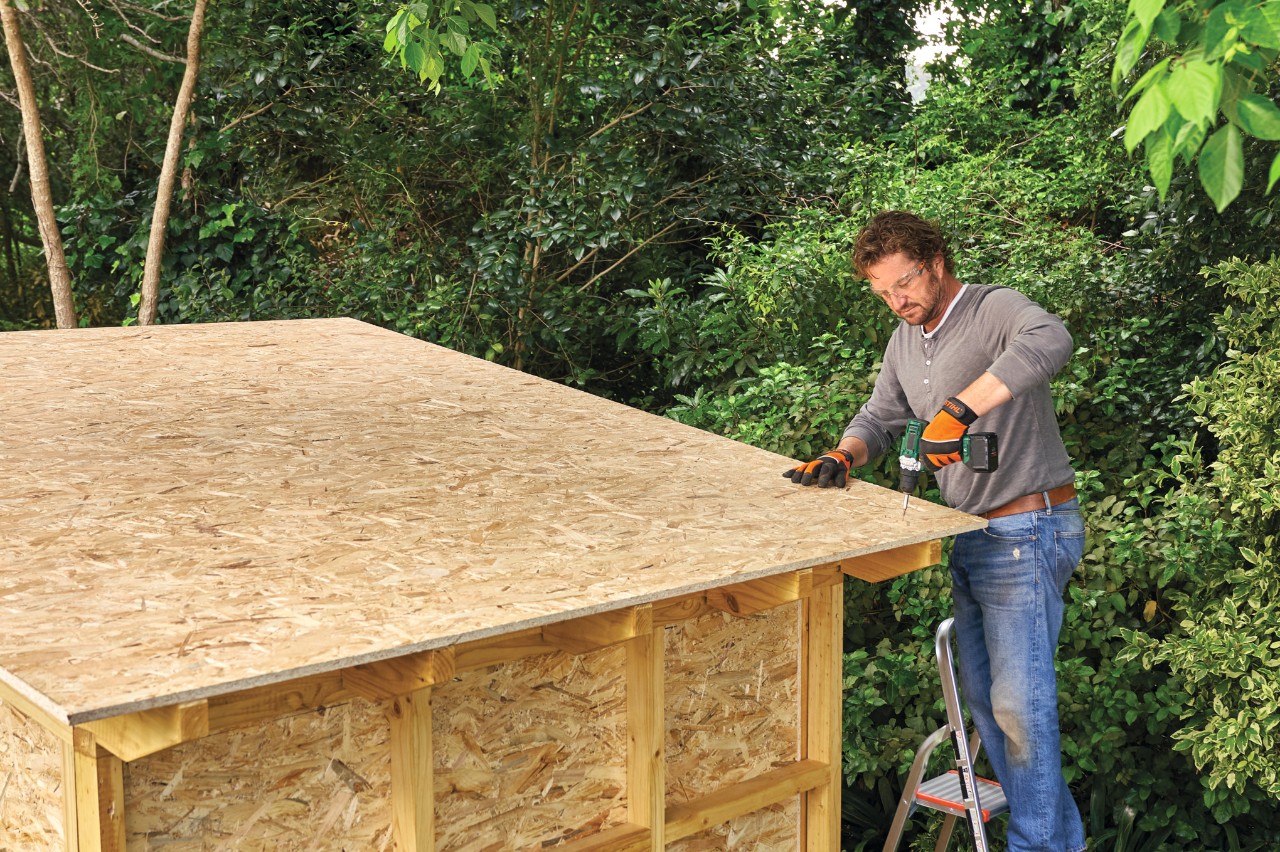A man on a ladder screwing the OSB roof panel of a shed into place