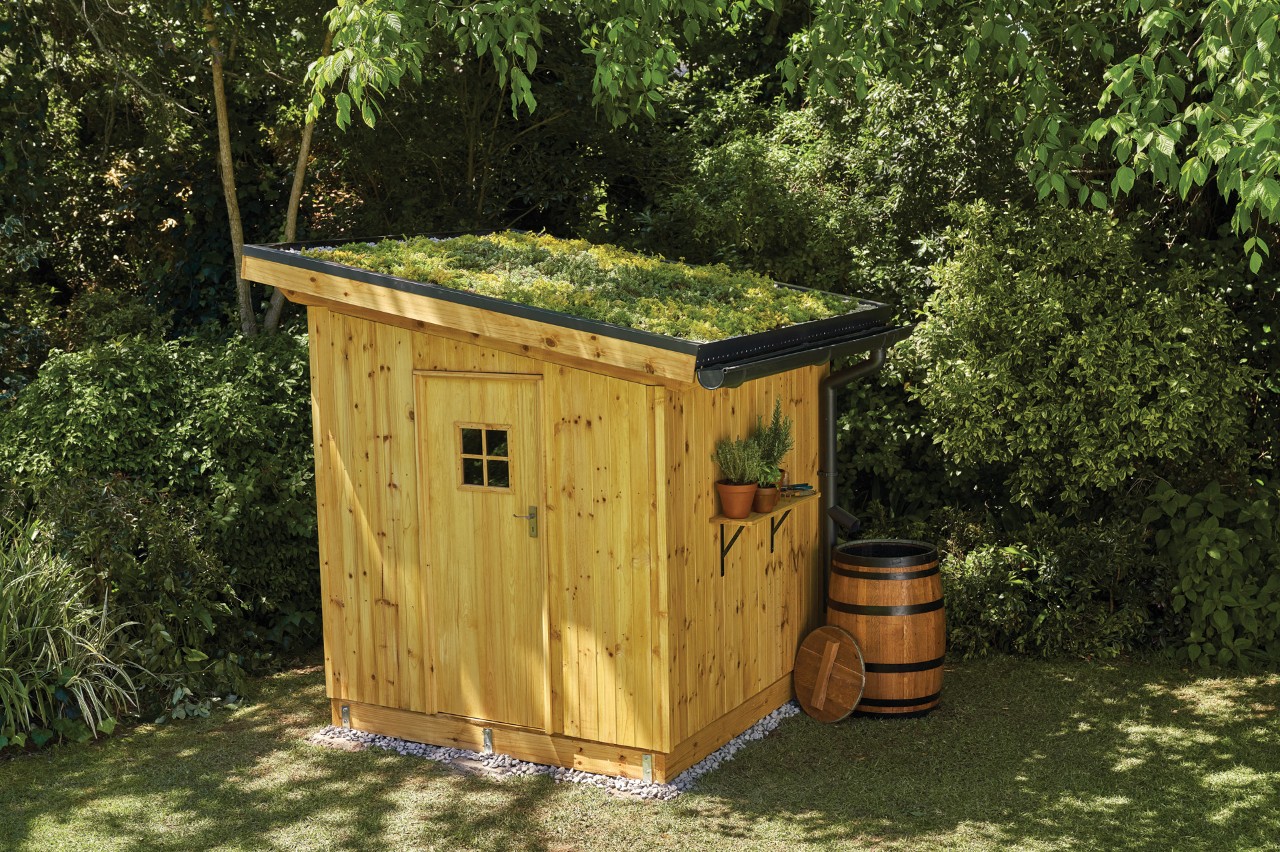 A finished DIY timber-clad garden shed with a green roof