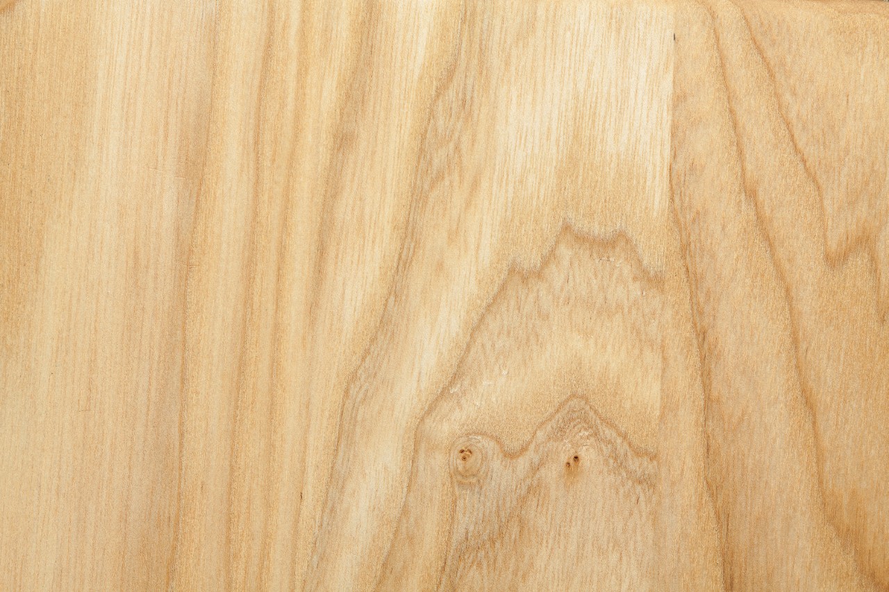 Close-up of grained beech
