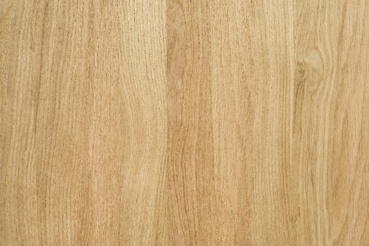 Close-up of grained ash