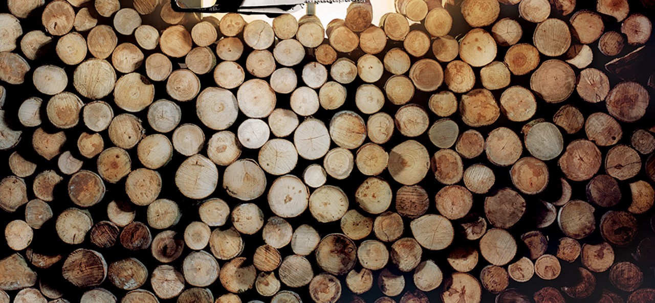 Close-up of stacked logs