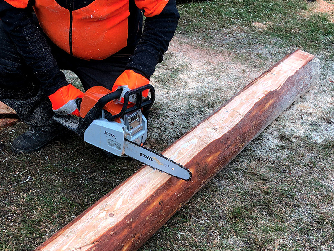 A person in protective clothing using a STIHL MS 170 petrol chainsaw to cut the prepared log into shorter lengths