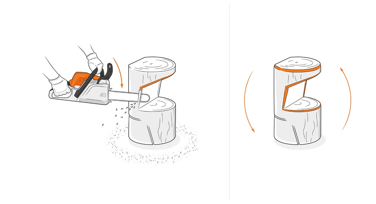 Illustration: Cleaning cuts are made on the base with a STIHL chain saw