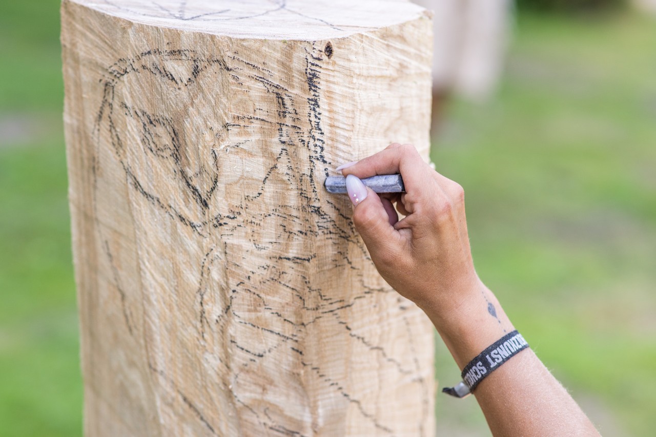 An owl is drawn onto a debarked wooden trunk with chalk