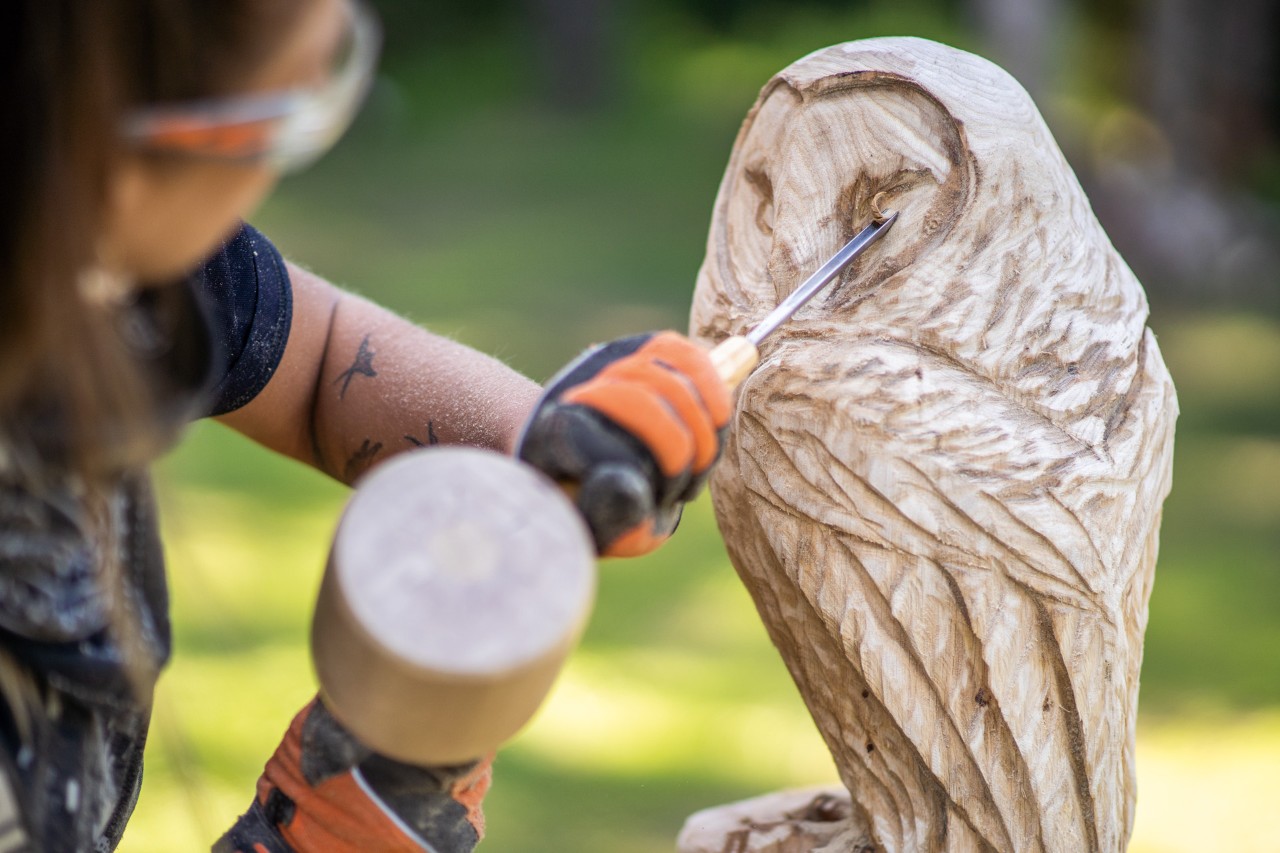 A wooden owl sculpture in progress: fine details are added to the face using a chisel.