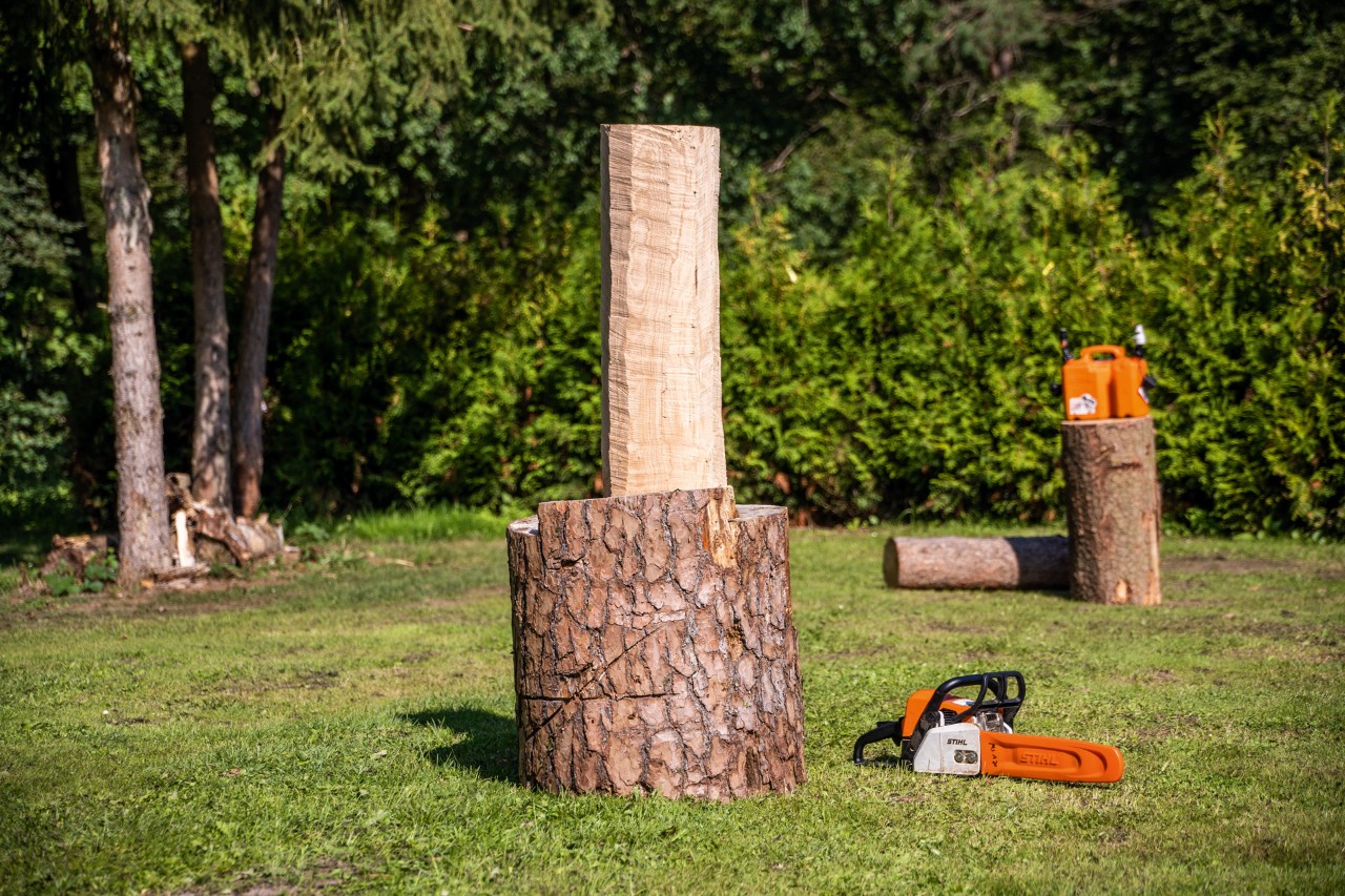 A debarked log on a base, with a STIHL chainsaw on the ground next to it.