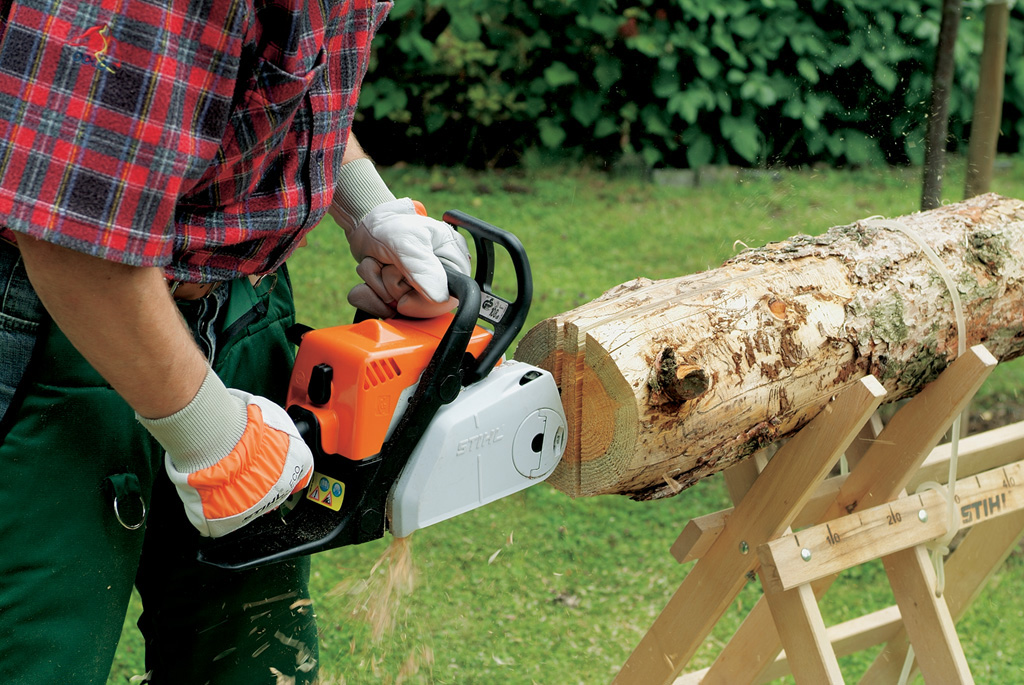 A flat roof piece is cut from the centre of the trunk with a STIHL chainsaw