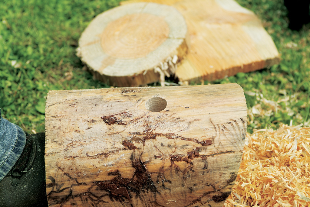 The main body of an incomplete bird box lies on the grass, with an entrance hole drilled into it