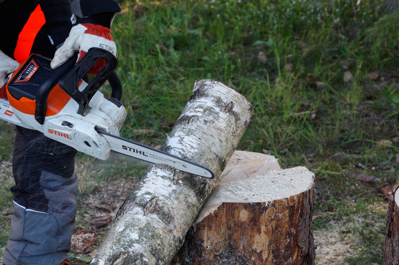 A STIHL MSA 140 C cordless chainsaw being used to cut a mark around a slim log to make a DIY wooden candlestick