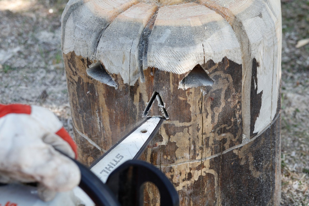 A jack o’lantern face being carved from a log with a STIHL MSA 140 C chainsaw