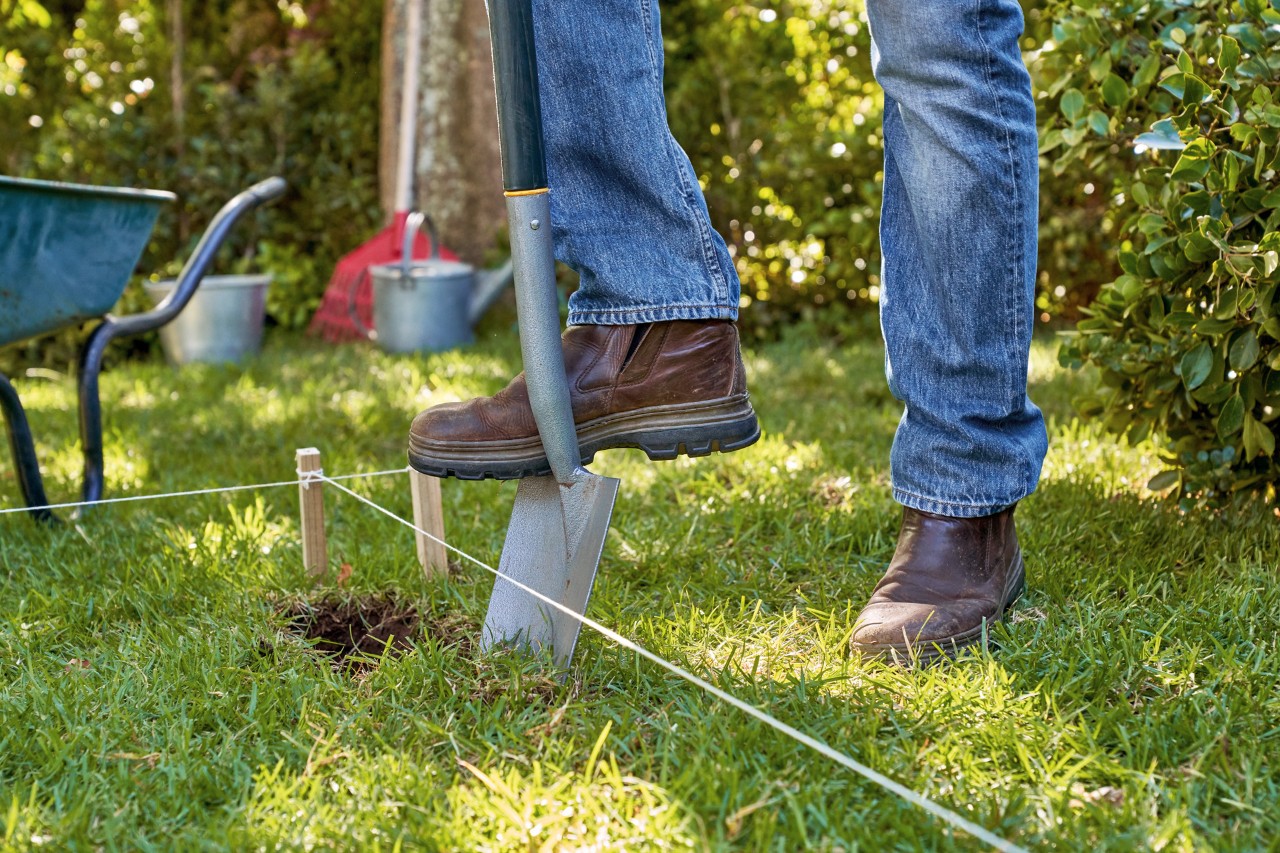 Build a raised bed from boards: lawn turf being cut and lifted using a spade