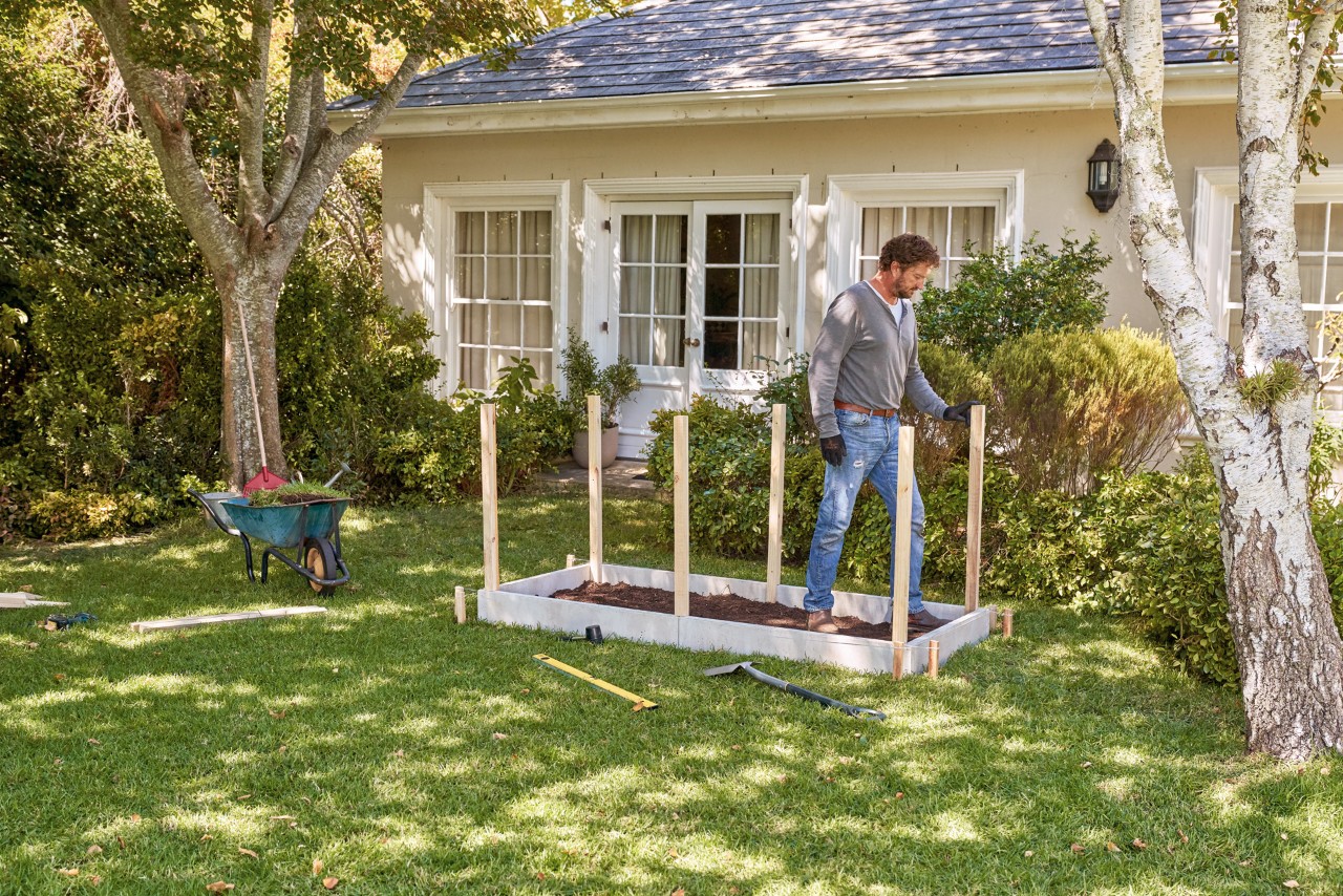 Build a raised bed from boards: a man stands between the upright posts 