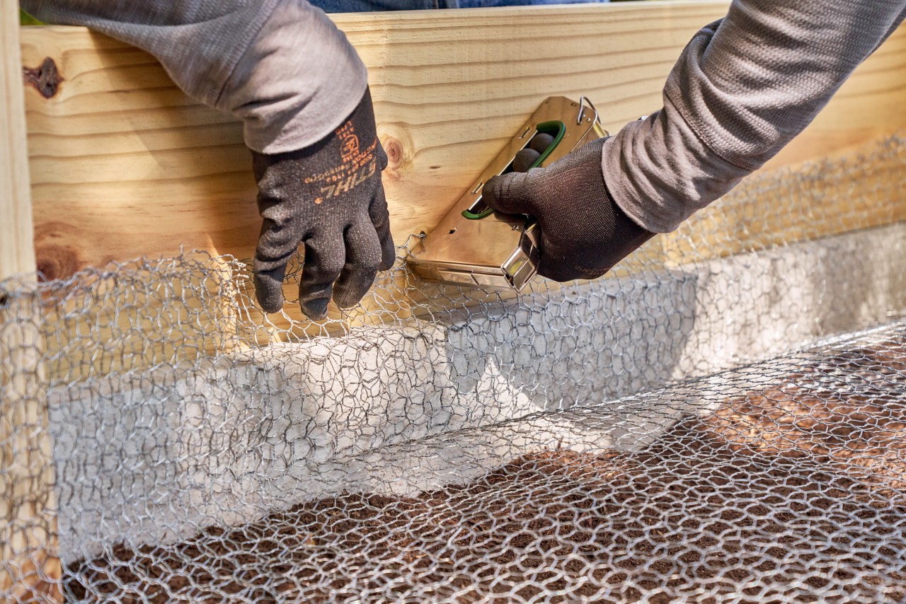 Build a raised bed from boards: wire mesh being stapled to a board inside the raised bed