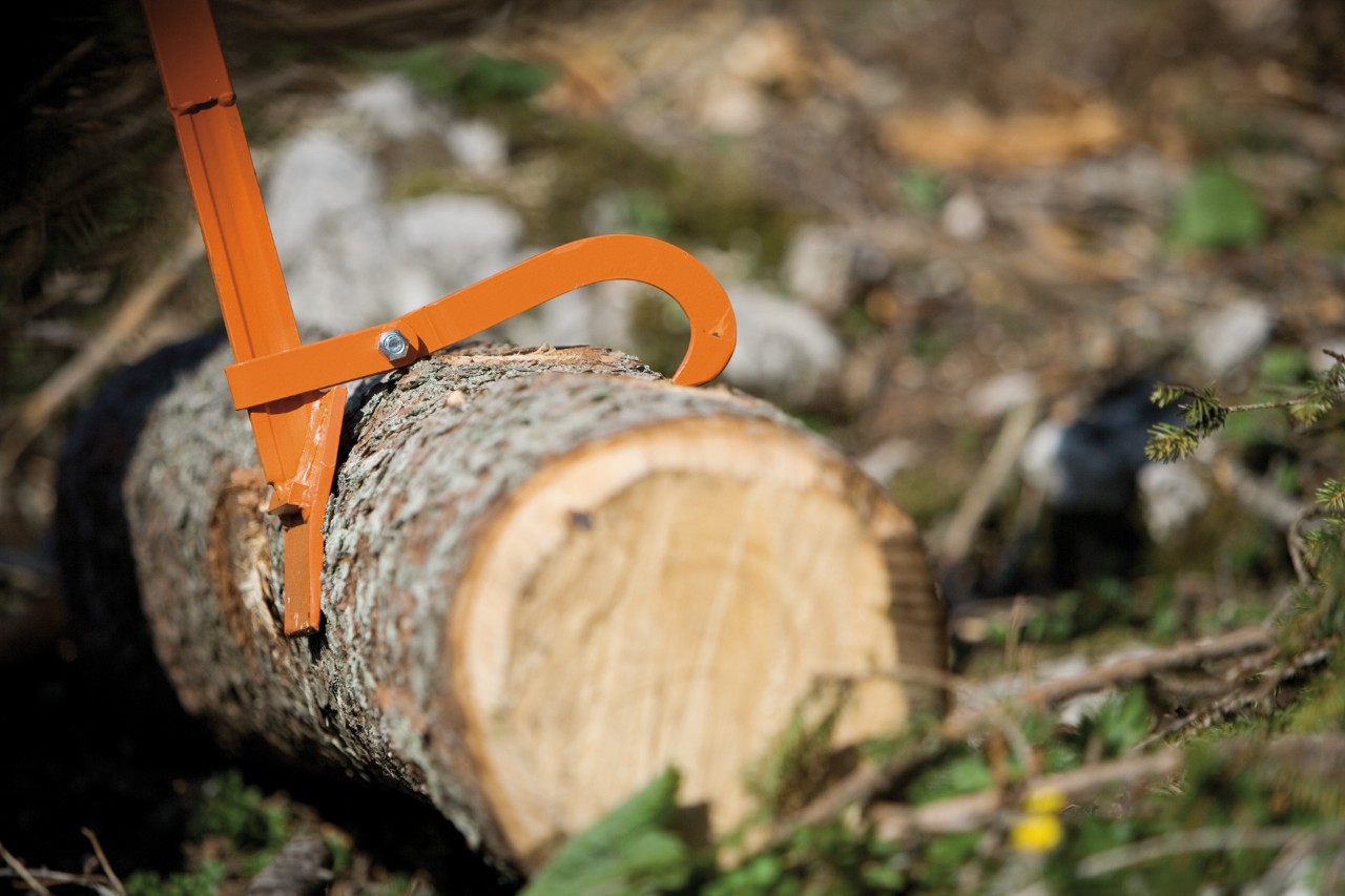 Close-up of a STIHL felling lever holding a tree trunk on the forest floor