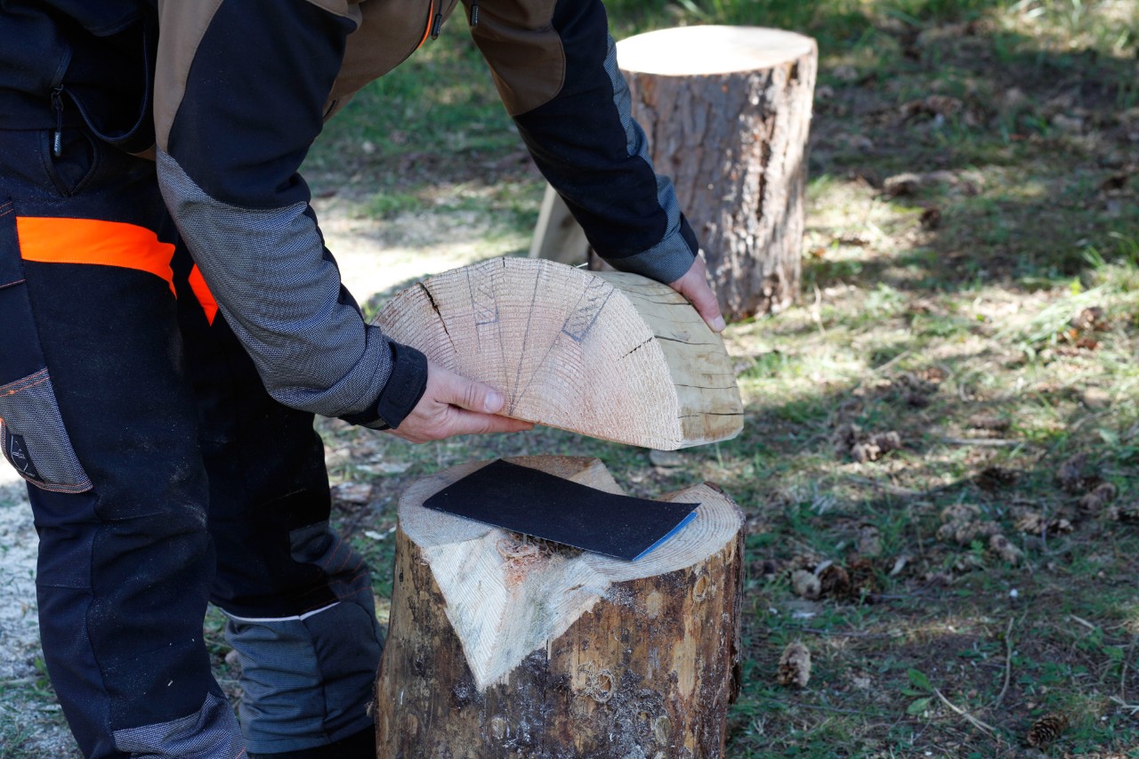 DIY log stool: A split log marked with cut positions is placed onto a tree stump