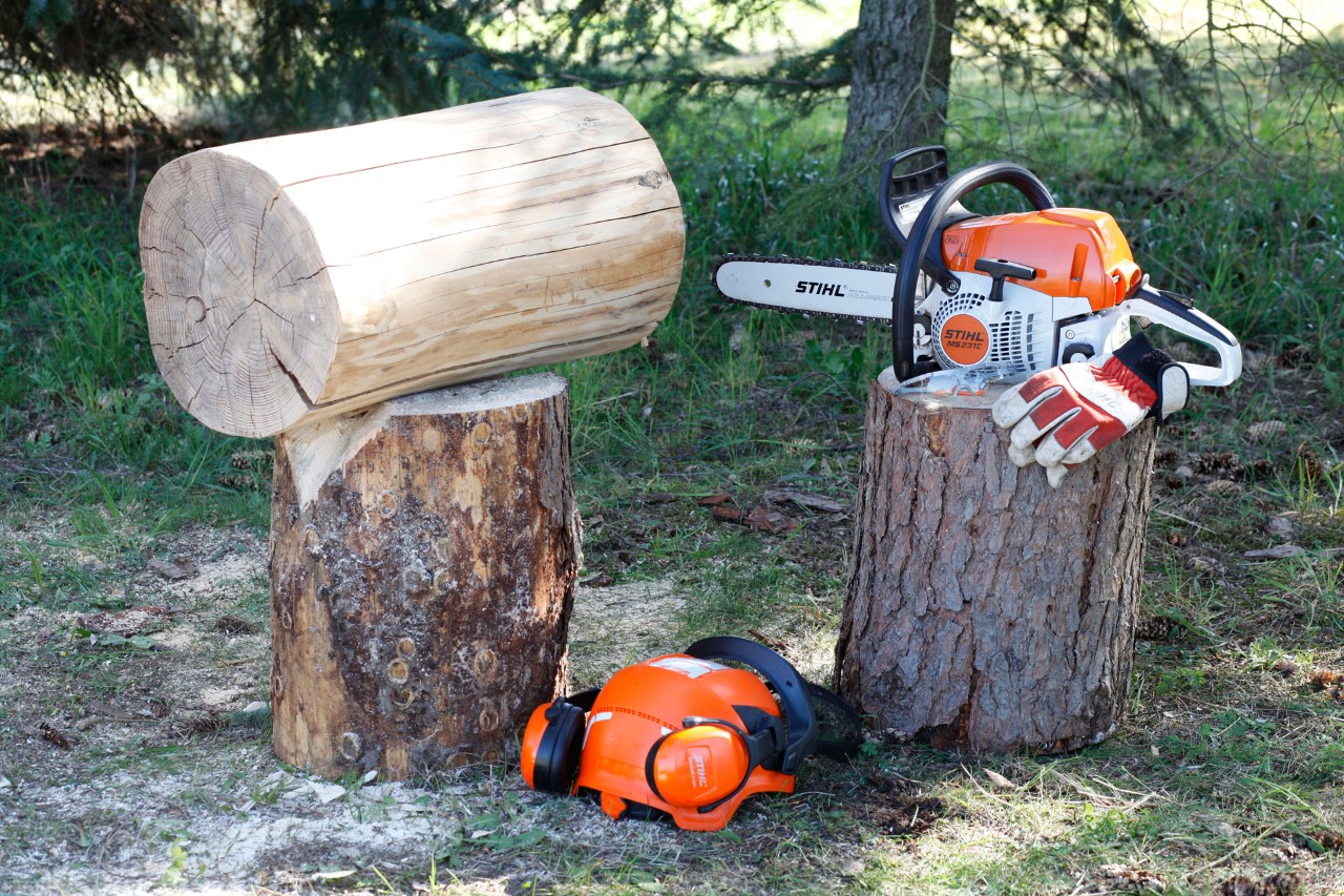  A log, STIHL MS 231 C petrol chainsaw, gloves, helmet and ear protection set arranged on tree stumps