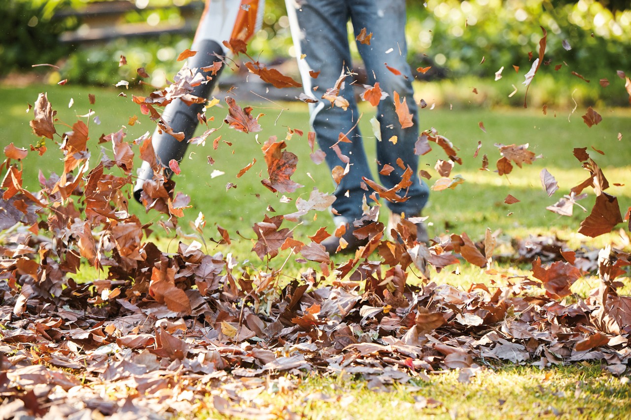 A person using a STIHL BGA 57 cordless blower to gather up brown leaves on a lawn