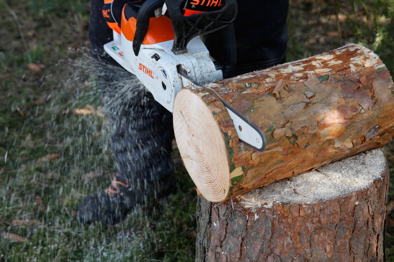 A slice being cut from a log with a STIHL MSA 140 C cordless chainsaw to make a homemade bird feeder