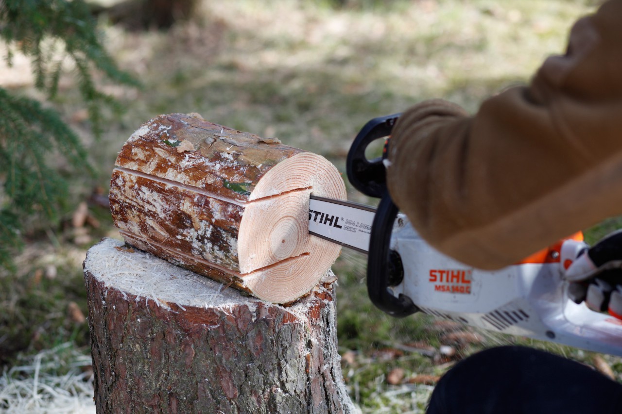 DIY bird feeder: A plunge cut being made in a log with a STIHL MS 140 C chainsaw, to connect two long cuts already made