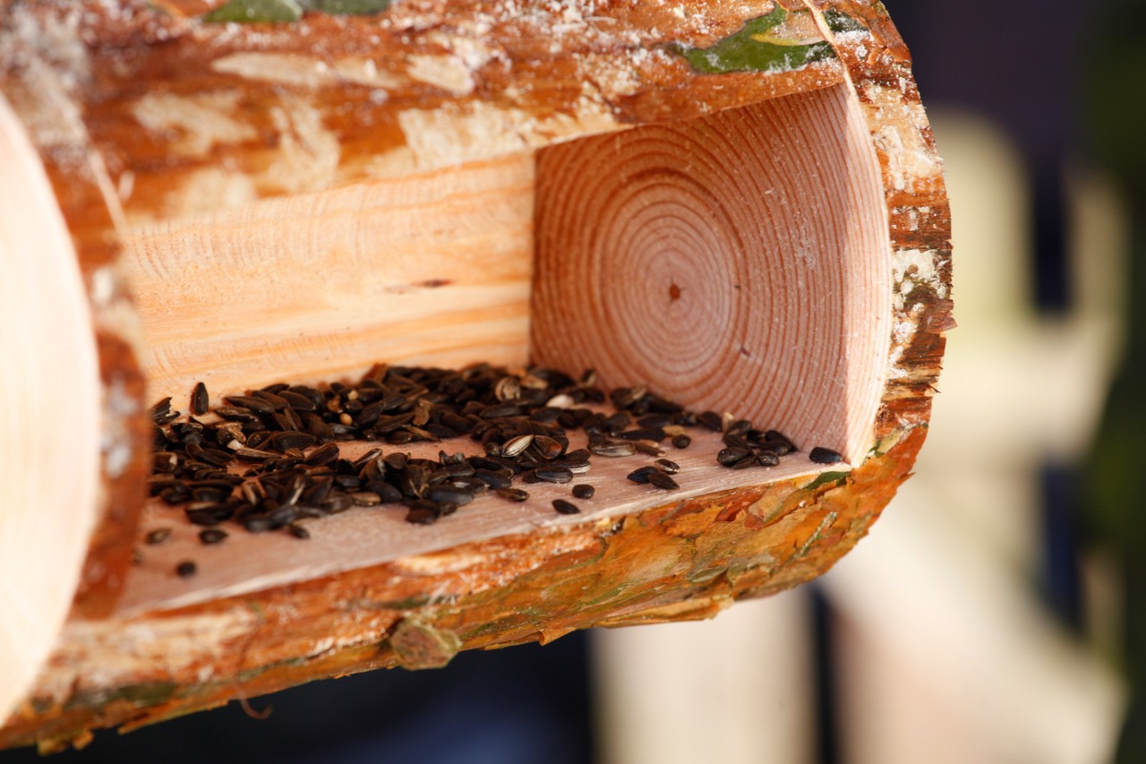 Close-up of bird seed inside a finished DIY bird feeder