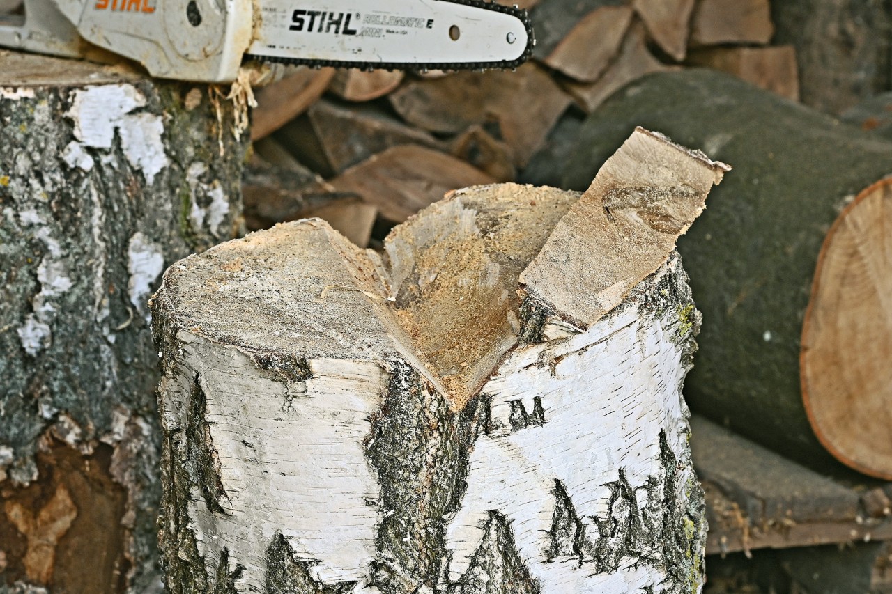 DIY bug hotel: close-up of a notched tree stump to hold a log in place