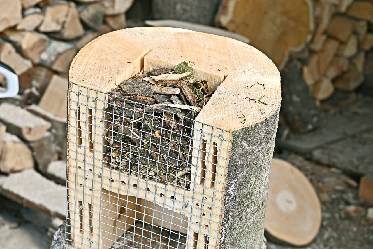 Bottom section of an upturned DIY bug hotel filled with bark mulch and reeds