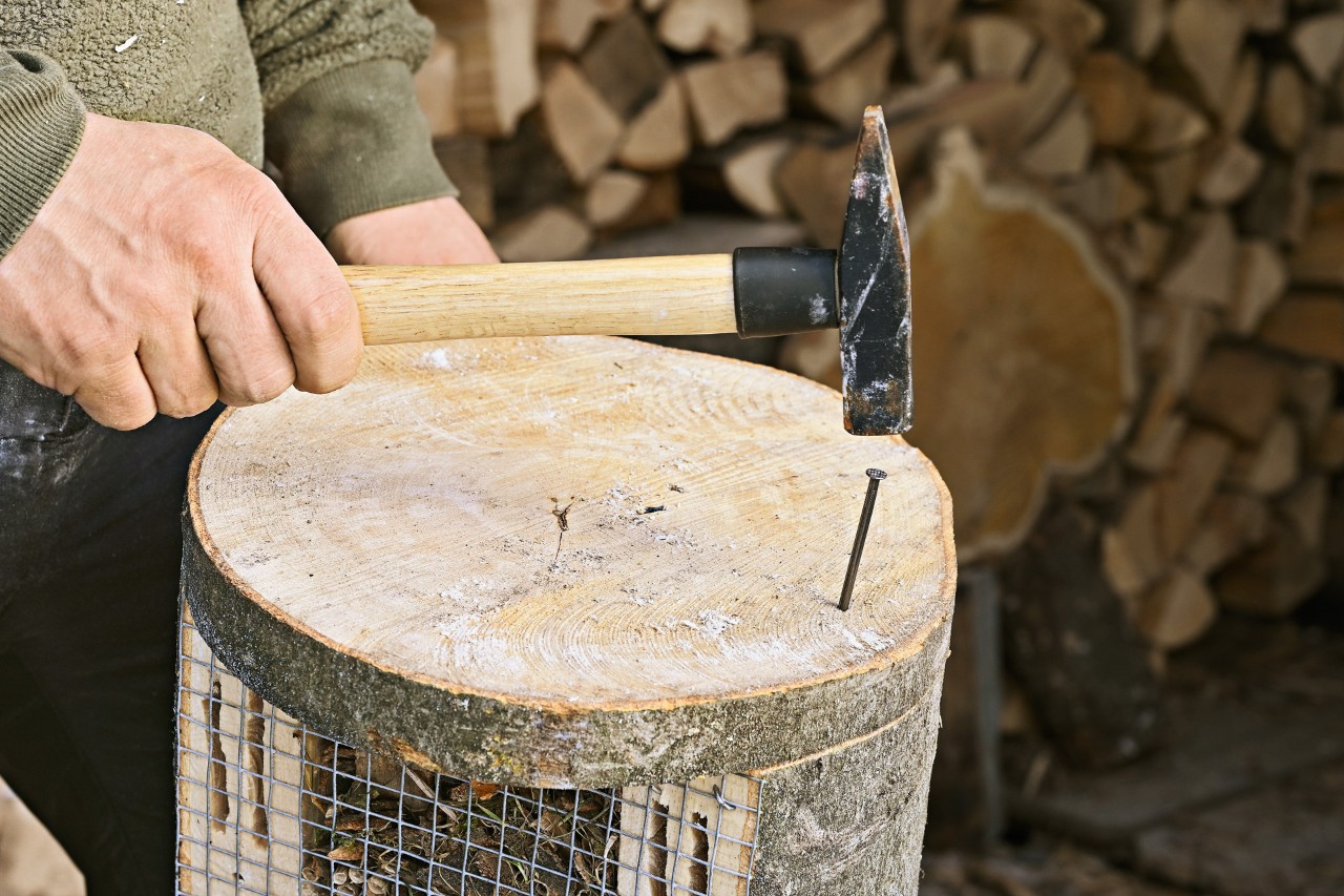 Making a bug hotel: the base of a bug hotel being nailed in place