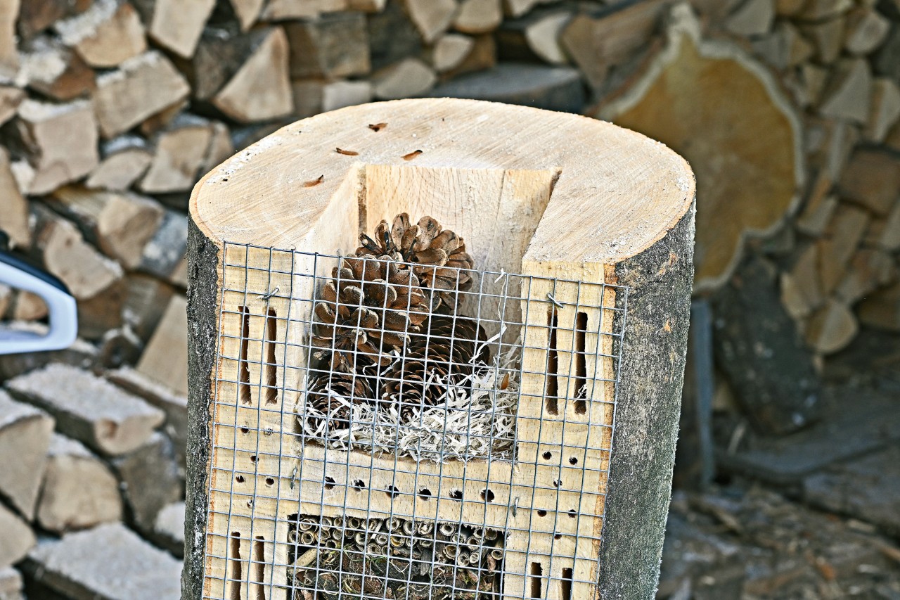 The top section of a bug hotel filled with bark and a pine cones