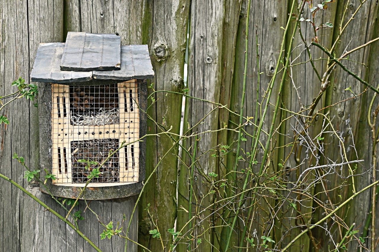 A DIY bug hotel on a tree stump against a wooden fence