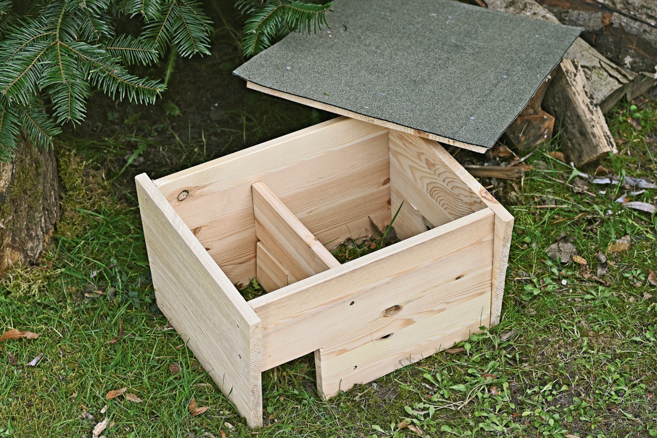 Roof board with roofing felt and open hedgehog house under a fir tree