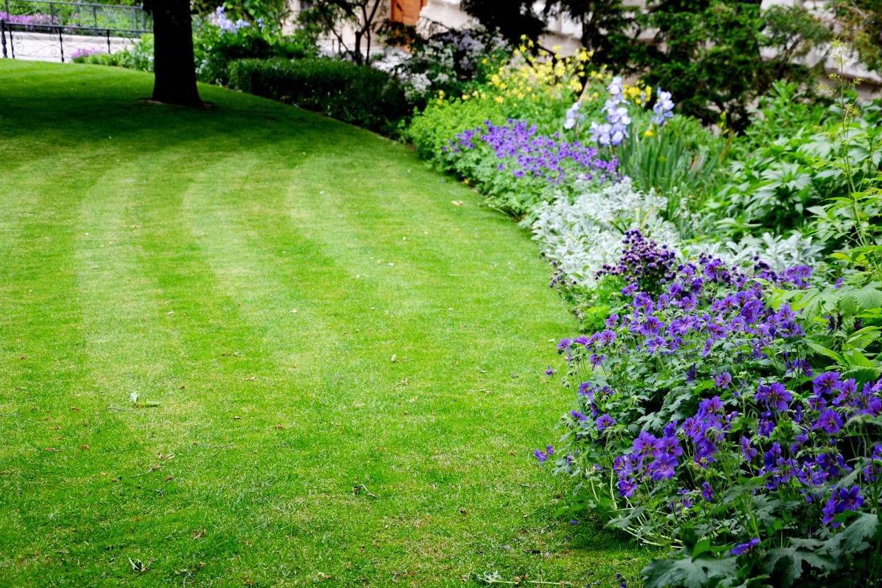 Natural flowerbed edging made from plants separating the bed from a lush, green lawn