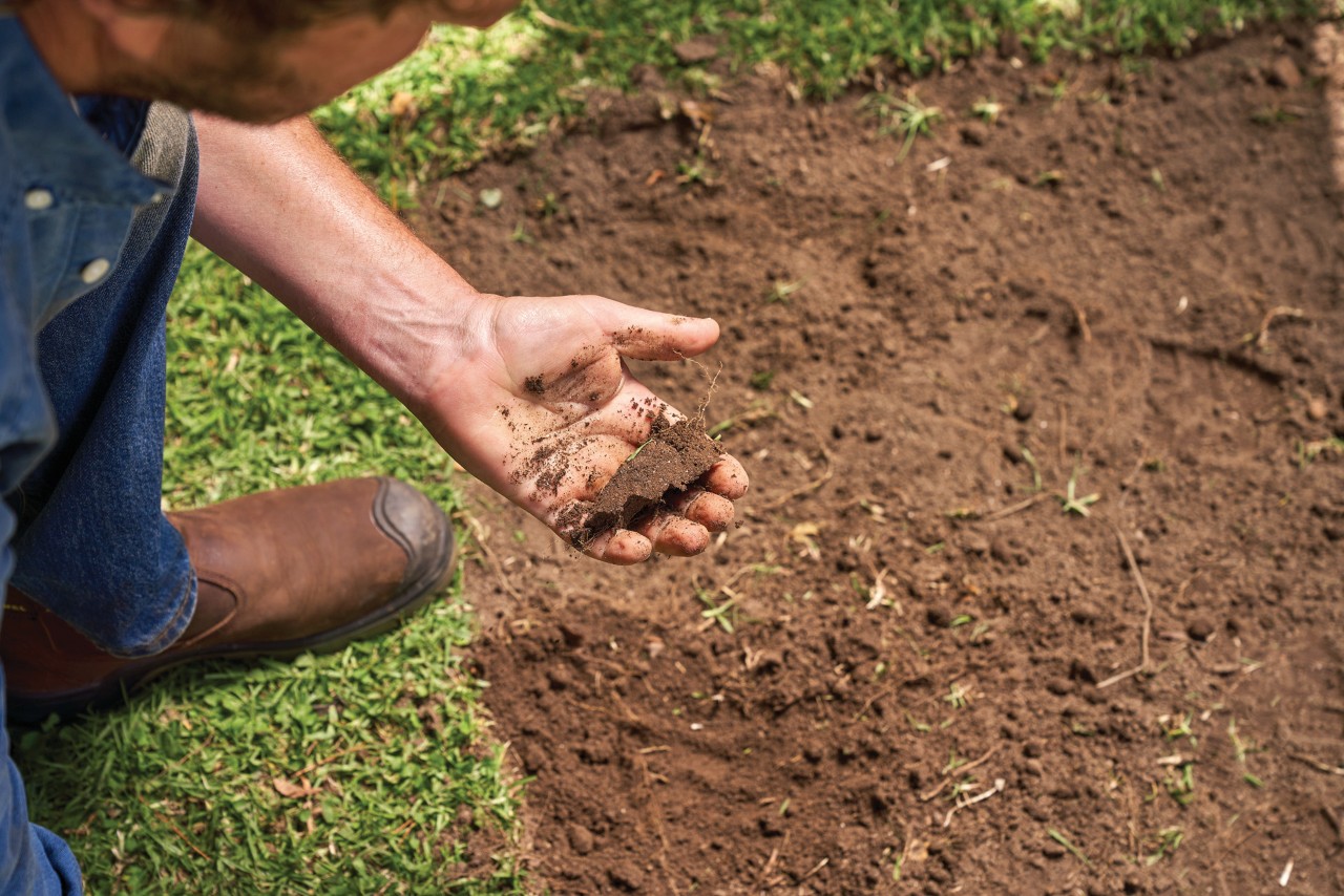 A person compressing a handful of dirt to find out the soil type