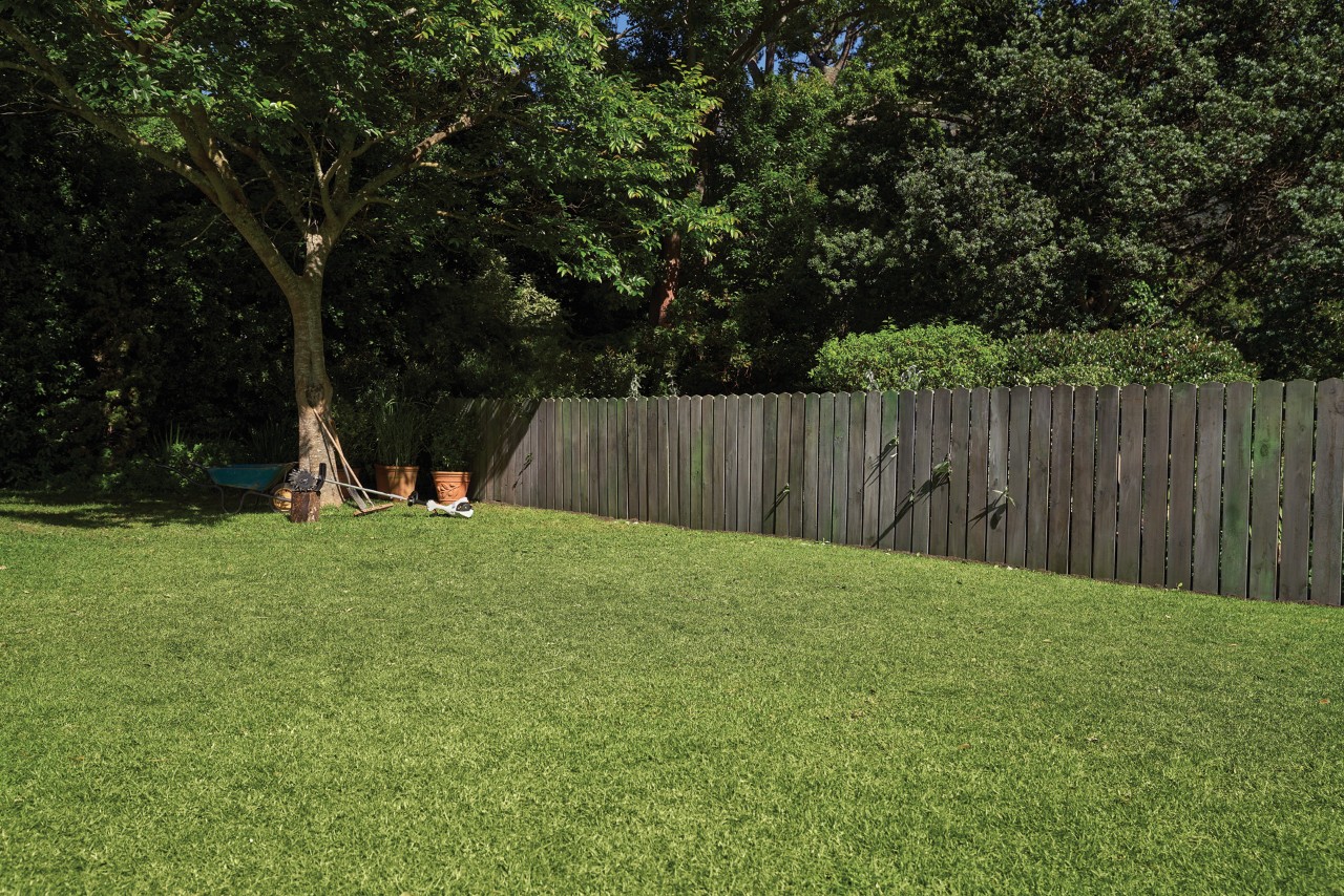 A garden with a green lawn and wooden fence, with a wheelbarrow and plant pots in the shade of a tree in the background