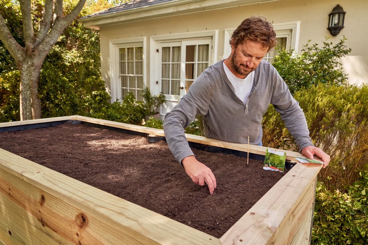 A man planting seeds in the soil of a raised bed 