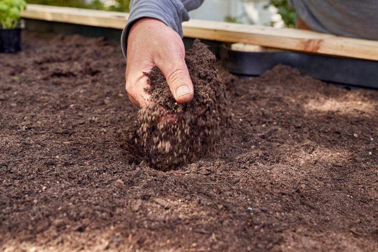 Close-up of soil being scattered in a raised bed