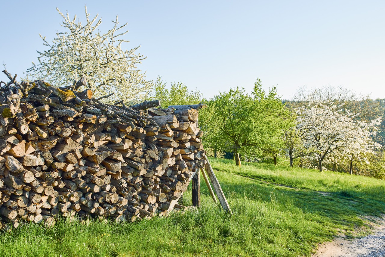 A pile of stacked wood in an open grassy area