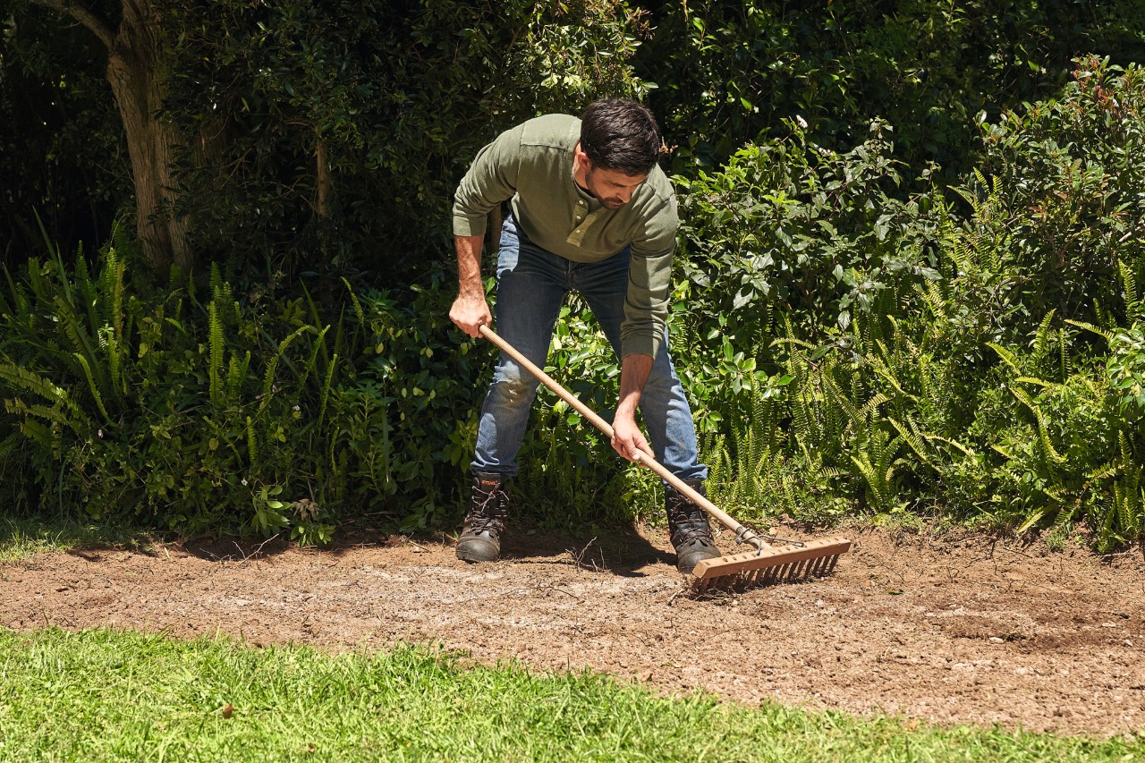 A man raking seeds wildflower meadow seeds into the soil of a garden
