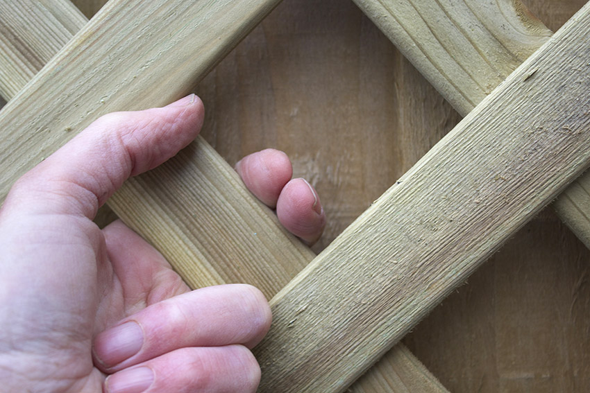 Close up of a hand on a trellis showing correct spacing of 30 to 60 millimetres between trellis and fence