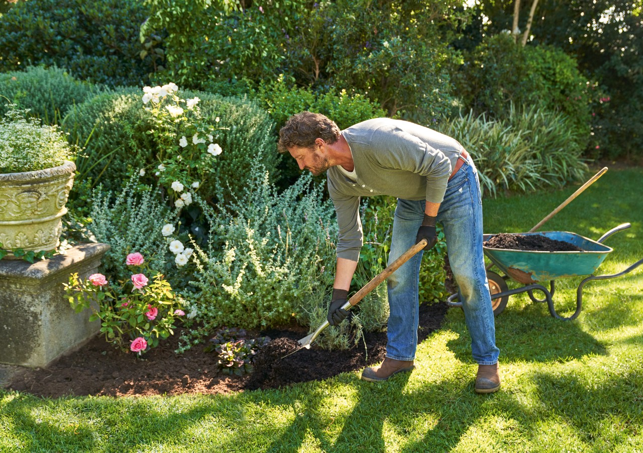 Man wearing STIHL protective gloves hoes between perennials in the garden using a long-handled hoe