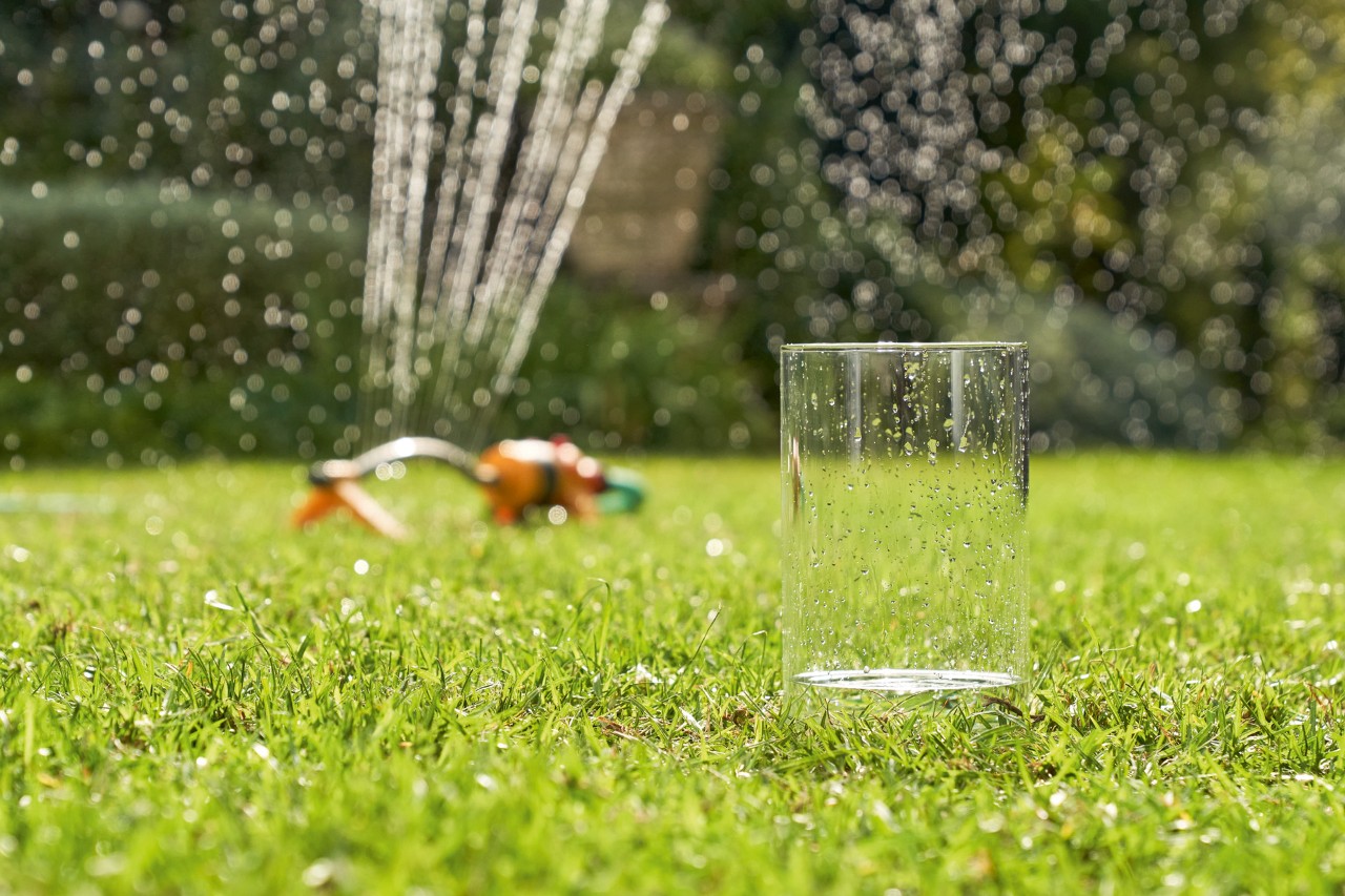 Water is collected in a glass from a lawn sprinkler in the background