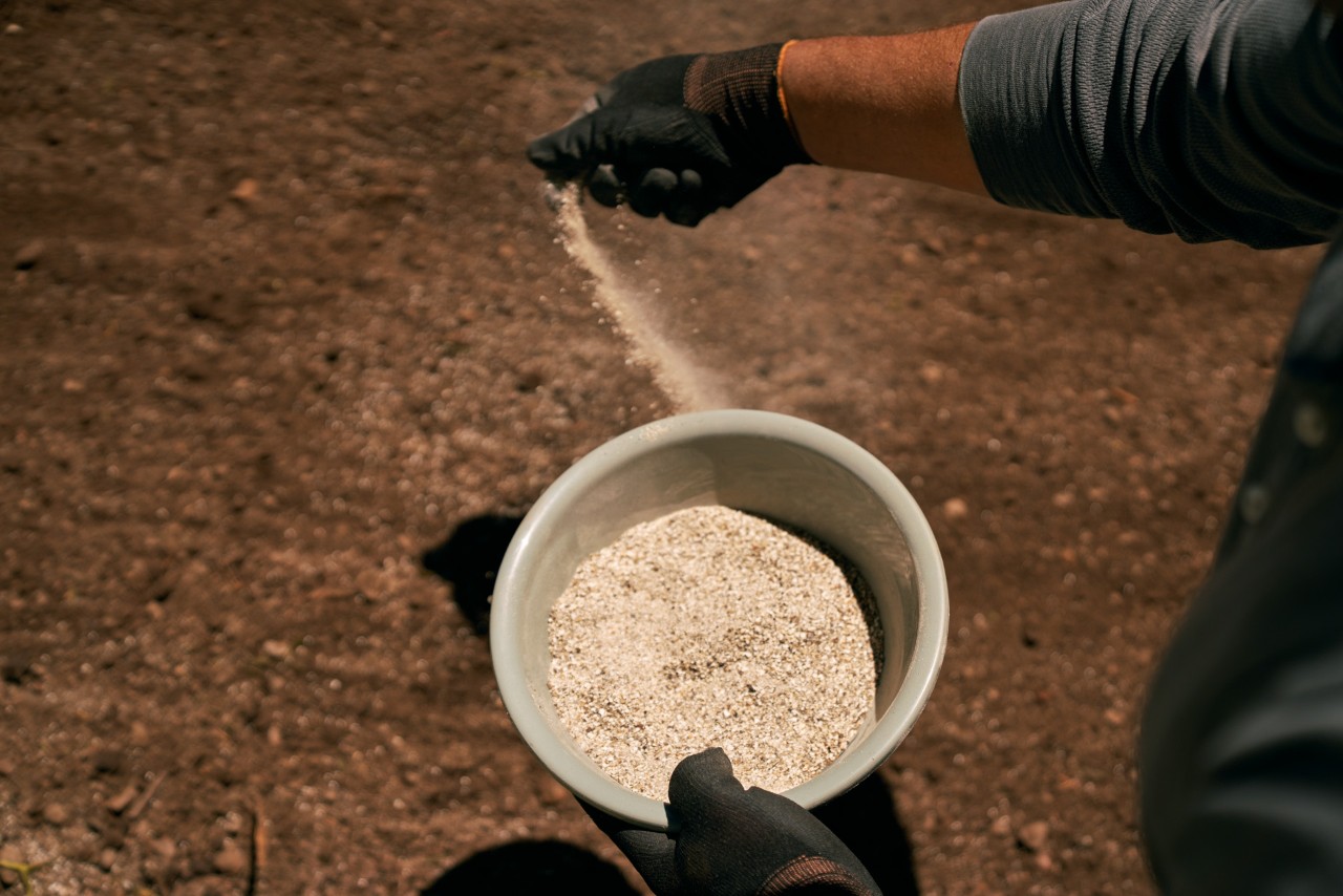 Organic fertiliser pellets being scattered from a bowl by someone wearing gloves