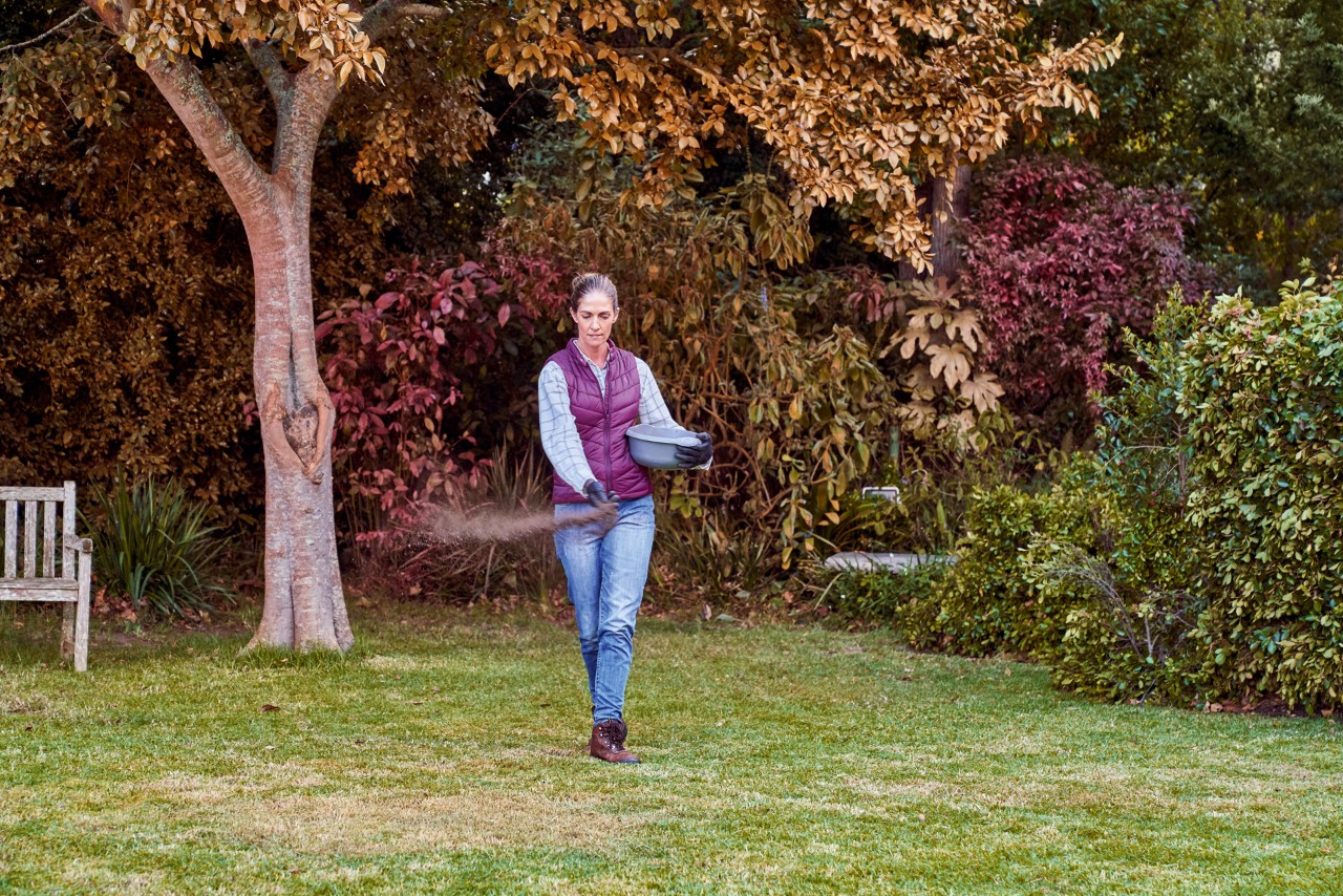 A woman scatters seed over a lawn